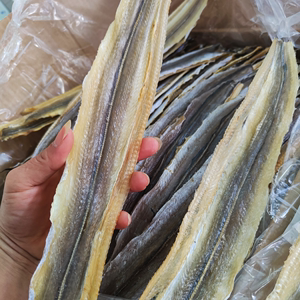 北海海味干货价格动态与批发指南