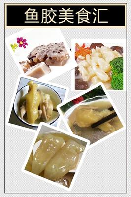 非洲野生开边黄花胶 产地直销，品质保证