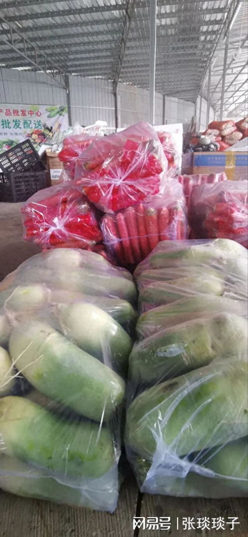 一份厚礼 南充嘉陵头洞桥农产品批发中心国庆试营业，开启海味干货批发新篇章