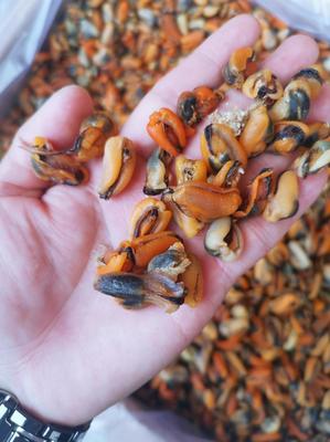 广东广州荔湾区贻贝批发 优质淡菜干，25.00元/斤实惠海味