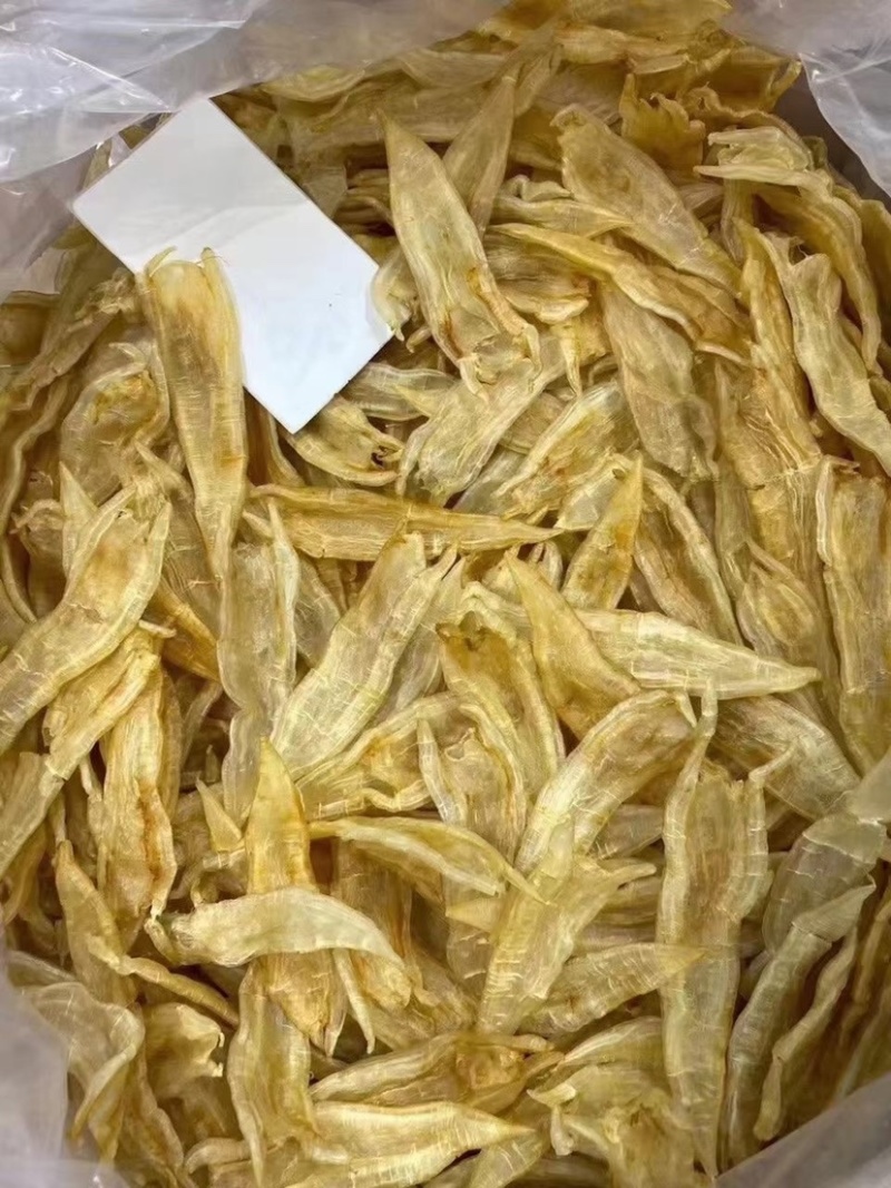 海味干货批发指南 双背胶清水货鱼胶、花胶金龙胶与北海赤鳘鱼胶的甄选之道