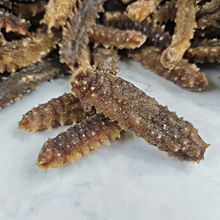 六排刺海参 深海珍馐，滋补佳品