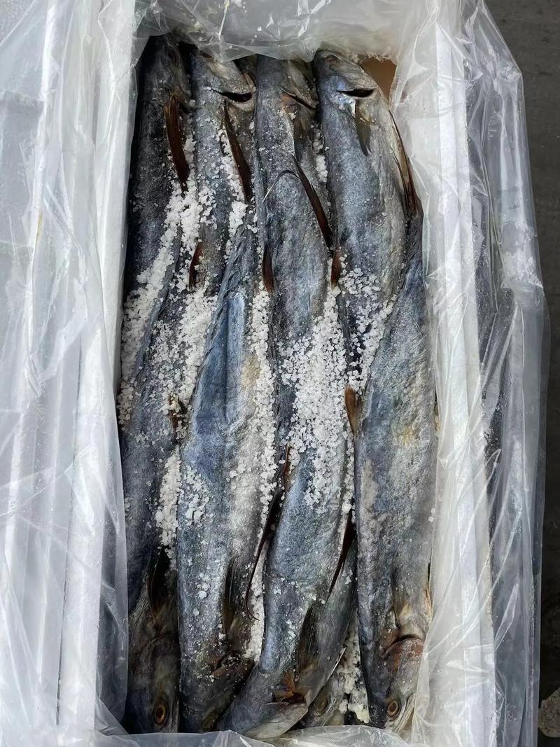 专业海味干货批发 品质之选，放心之源