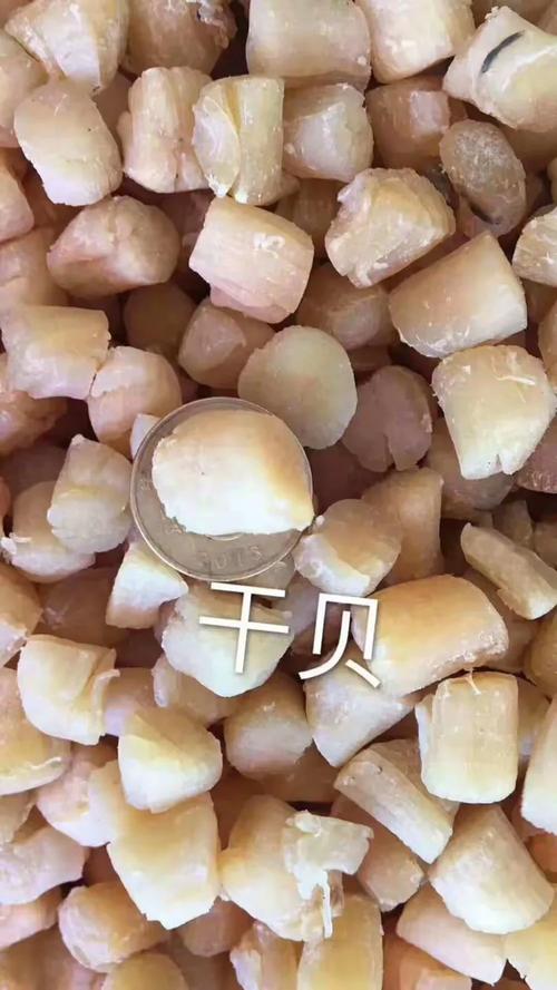 东山海鲜干货 品质之选｜欢迎莅临少年宫旁小店品茶洽谈